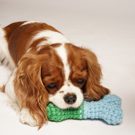 Hounds & Mischiefs Bone