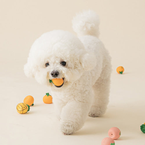  Hounds & Mischiefs Latex Squeaker Fruits Toy  