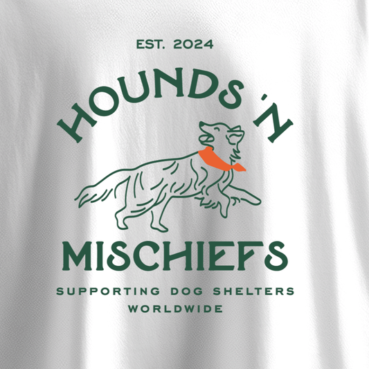  Hounds & Mischiefs Oversized Crew Neck T-shirt  